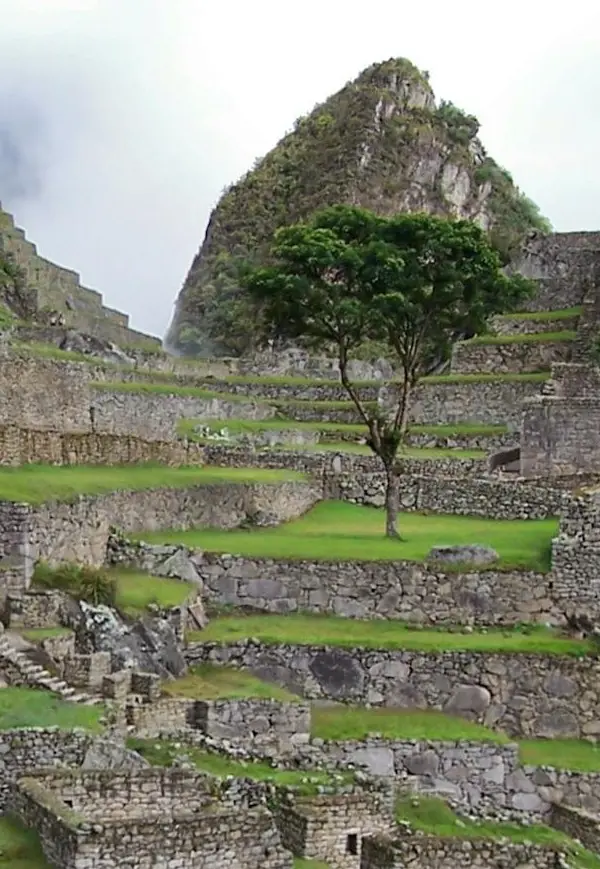 The Guy Who Figured Out How Civilizations Die - 600 Years Ago